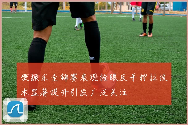 樊振东全锦赛表现抢眼反手拧拉技术显著提升引发广泛关注