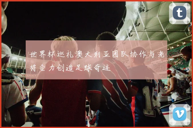 世界杯巡礼澳大利亚团队协作与老将合力创造足球奇迹